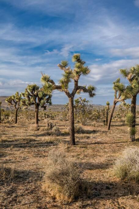 Soul Shine - Gorgeous Views - Modern - New Joshua Tree